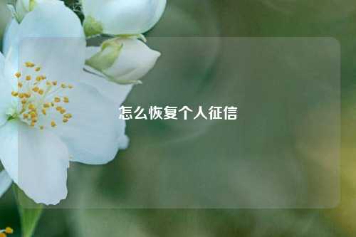 怎么恢复个人征信